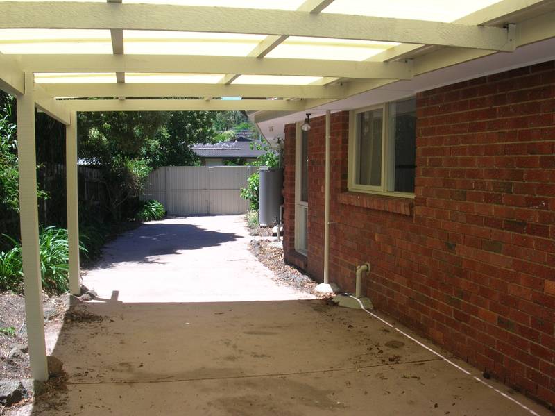 WHAT A RARE FIND Picture 3