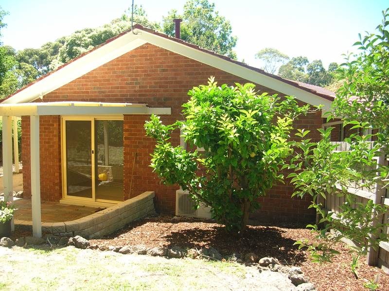 WHAT A RARE FIND Picture 2