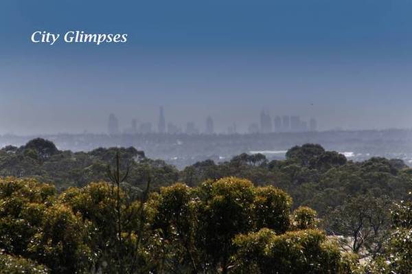 PRESTIGIOUS PINDARA Picture 2