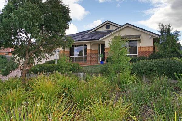 VENDORS INSTRUCTIONS -
SELL! Picture 1