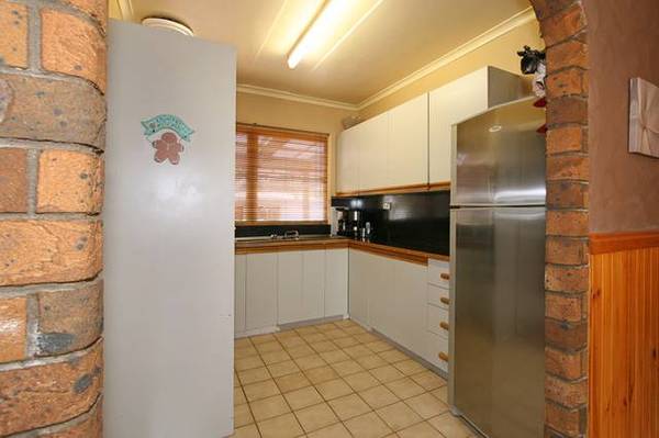 LET ME ENTERTAIN YOU Picture 3