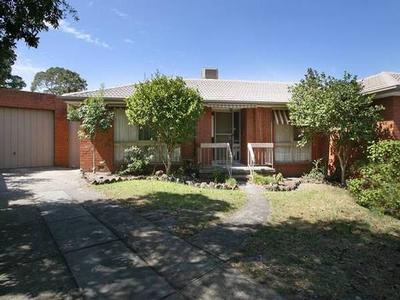 TOP OF THE COURT Picture