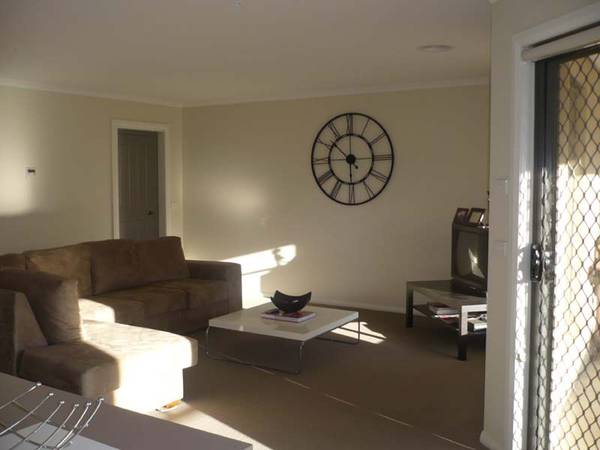 BRAND SPANKING NEW Picture 3