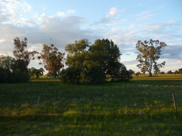 Rural Living Picture