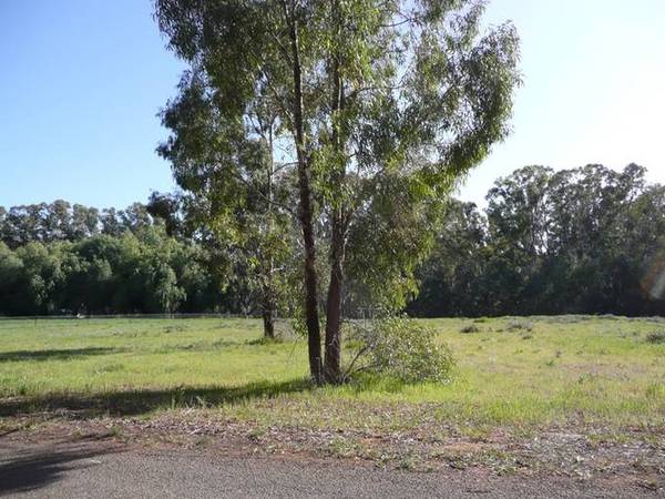 PEACE AND QUIET Picture 3