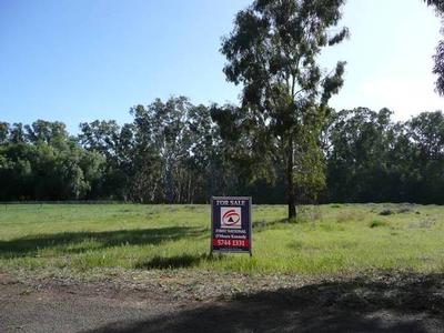 PEACE AND QUIET Picture