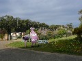 Purple Cows - Woodhaven Herbs & Lavender Picture