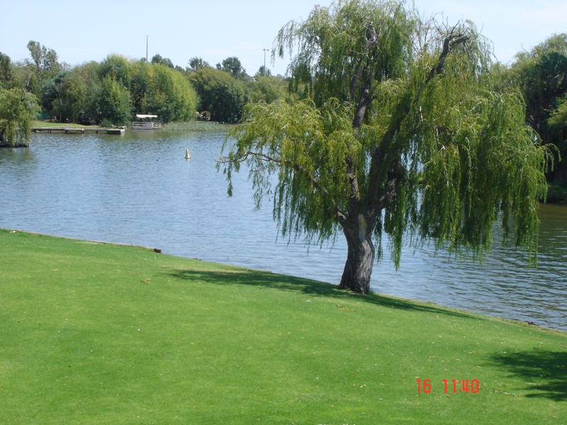 BARGAIN WATERFRONT BUY - REDUCED TO SELL Picture 1