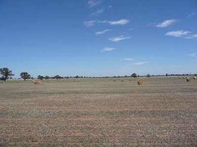 VERSATILE YARRAWONGA RURAL HOLDING Picture