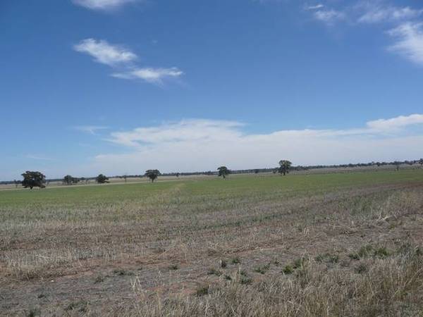 VERSATILE YARRAWONGA RURAL HOLDING Picture 2
