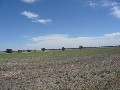 VERSATILE YARRAWONGA RURAL HOLDING Picture