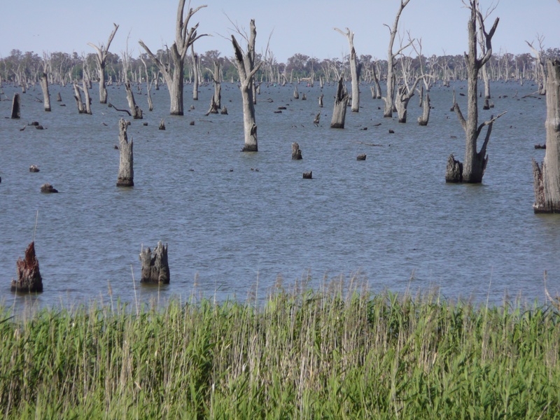 NATURE'S WATERFRONT BLOCKS FOR LUXURIOUS RESORT STYLE LIVING Picture 3