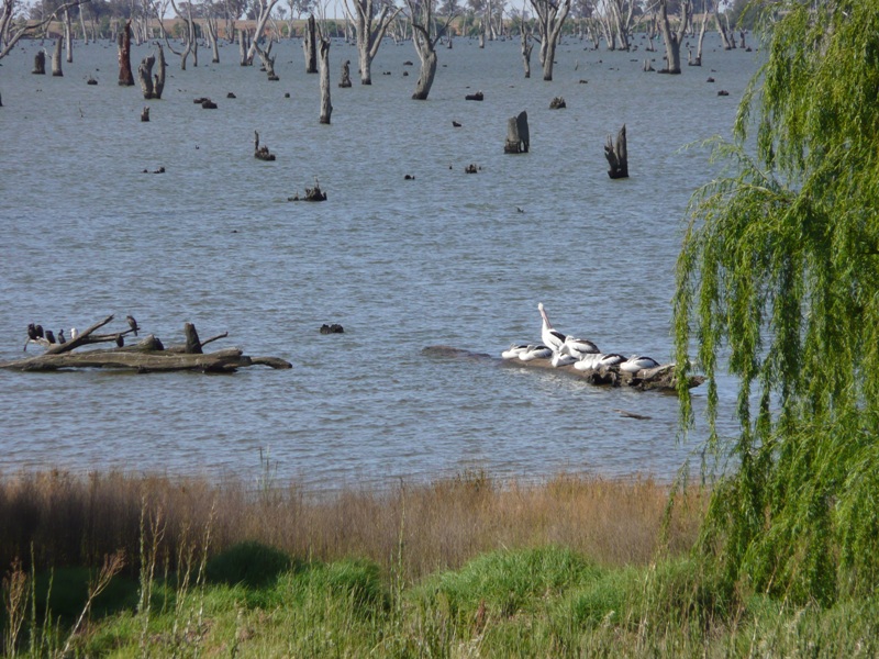 NATURE'S WATERFRONT BLOCKS FOR LUXURIOUS RESORT STYLE LIVING Picture 1