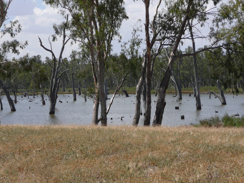 WATER VIEWS Picture 2