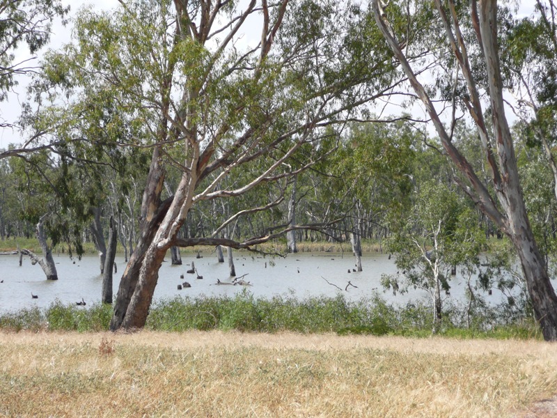 WATER VIEWS Picture 3