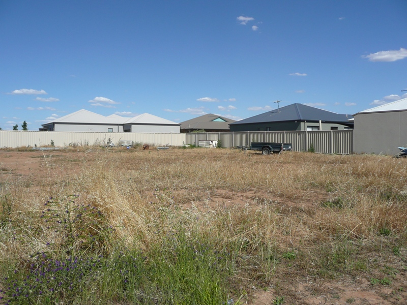 PRIME POSTITION Picture 2