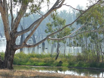 BUNDALONG WATERS Picture