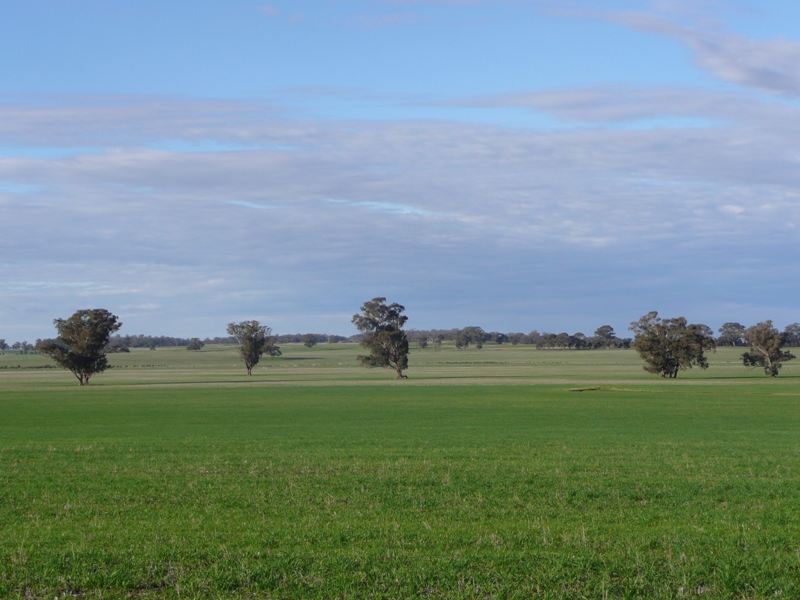 ULTIMATE RURAL HOLDING Picture 3