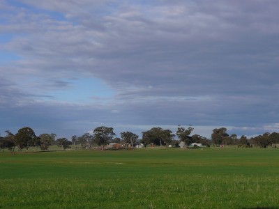 ULTIMATE RURAL HOLDING Picture