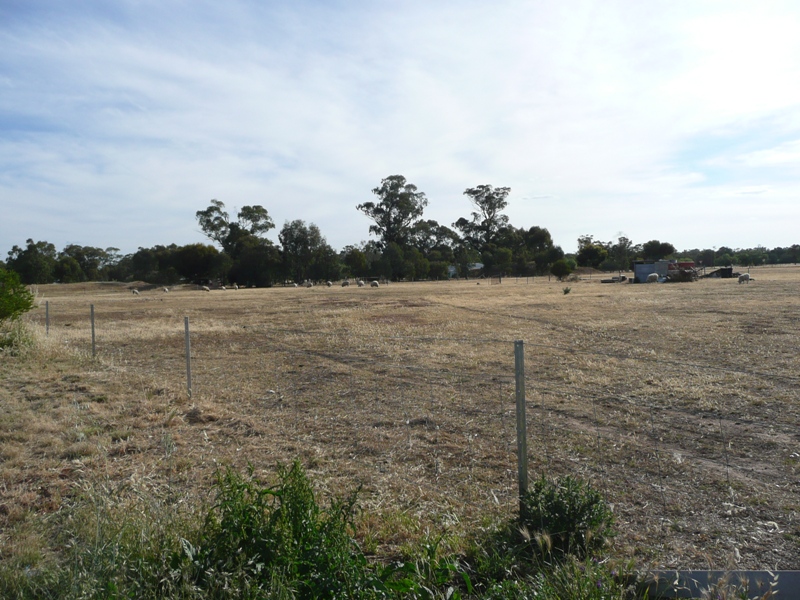 WILBY PROPERTY LIFESTYLE Picture 2