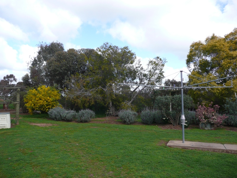 LIVE OFF THE LAND Picture 3