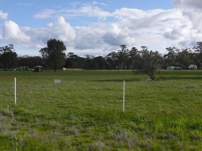 WONDERFULLY WILBY BLOCK Picture