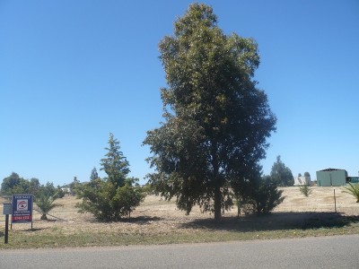 LARGE BLOCK WITH SHED Picture LARGE BLOCK WITH SHED Picture