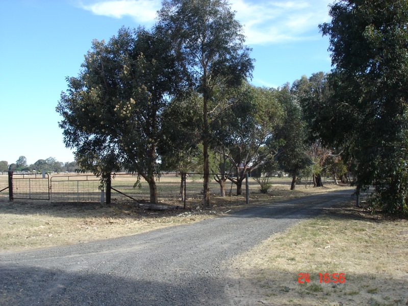 COUNTRY LIFESTYLE IN BUNDALONG Picture 1