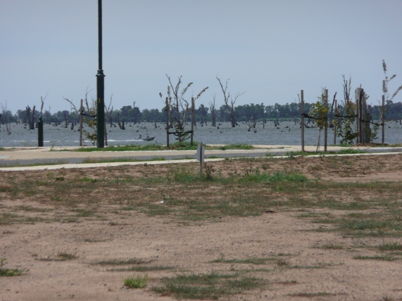 SUNNY SIDE IN SILVERWOODS Picture 2