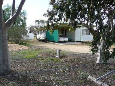 POCKET PLEASER Picture