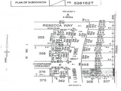 LOVELY LA BAMBA Picture