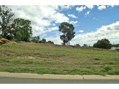 Live The High Life Picture