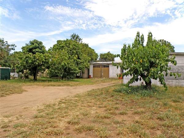 Needle in the Haystack Picture