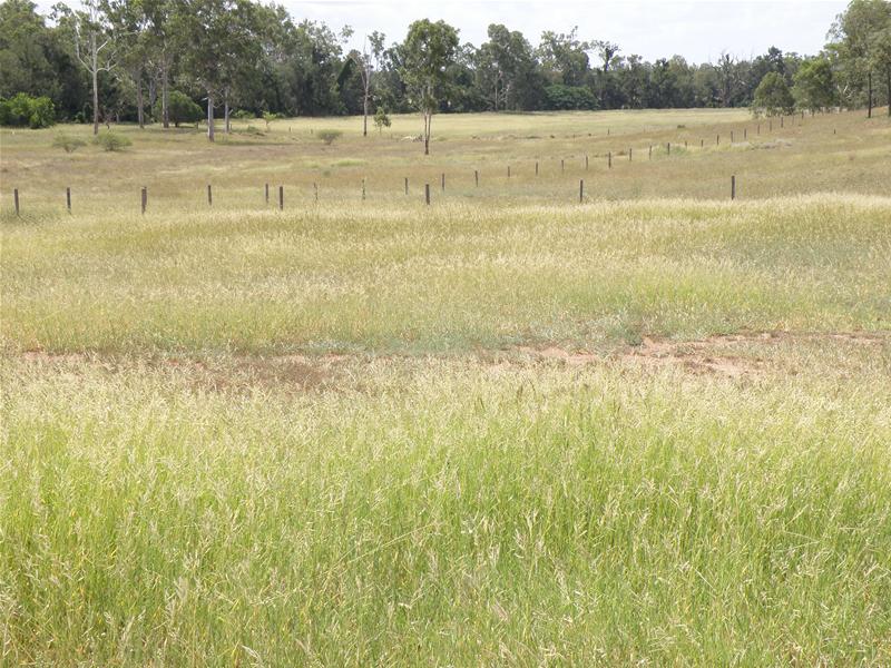 For Sale 508 Acres (206 HA) Picture 2