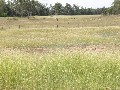 For Sale 508 Acres (206 HA) Picture