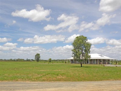 Live the Dream Picture