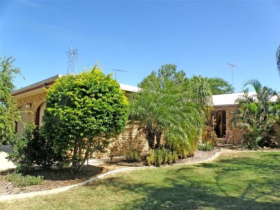 Beautiful and Low Maintenance Picture