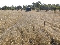 Mossvale - 1196 Acres Picture