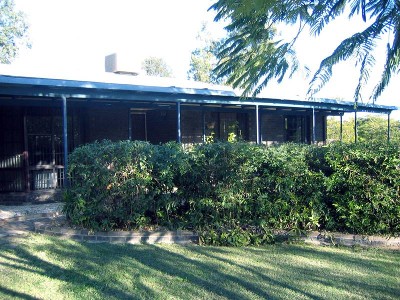 What More Could You Want? Picture