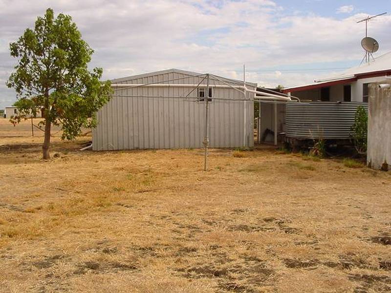 CHEAP AS CHIPS Picture 2