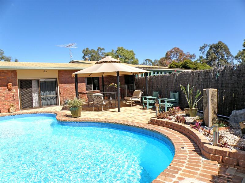 BECAUSE THEY LOVE IT: Picture 1