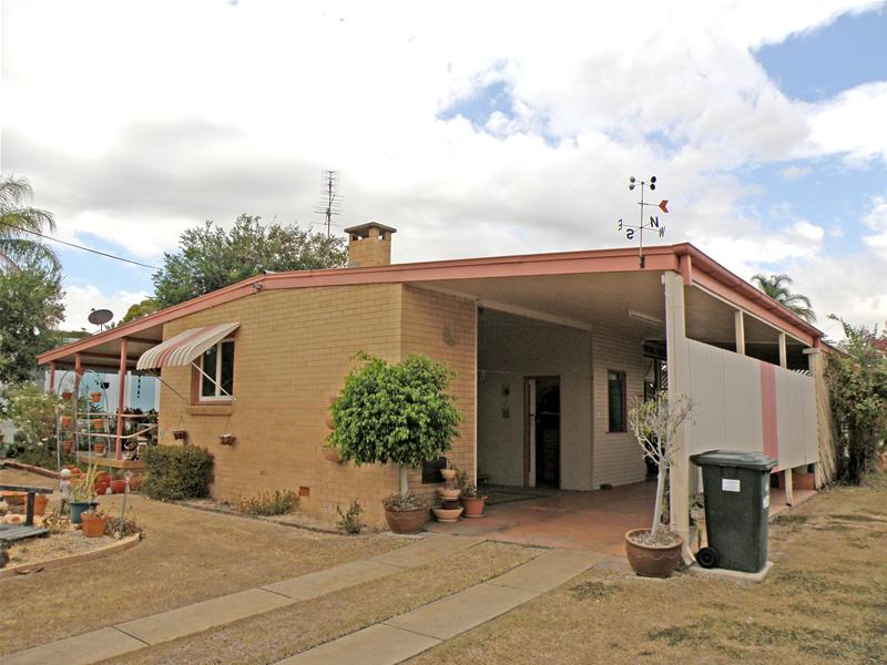 SENTIMENTAL FAVORITE Picture 2