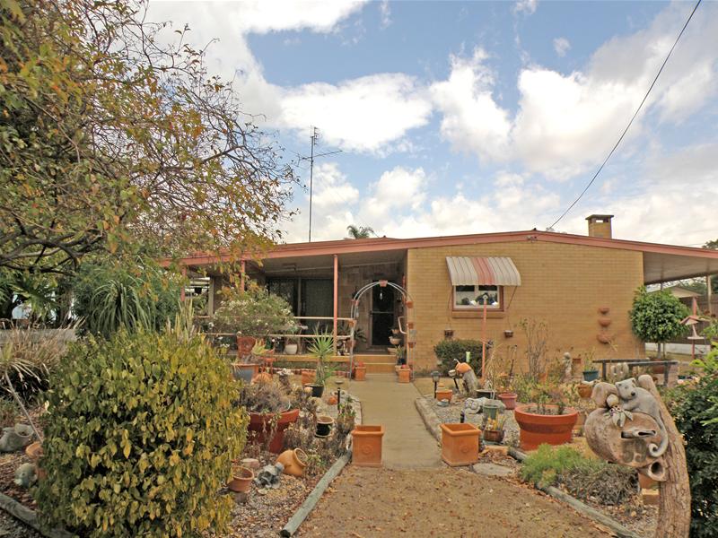 SENTIMENTAL FAVORITE Picture 1