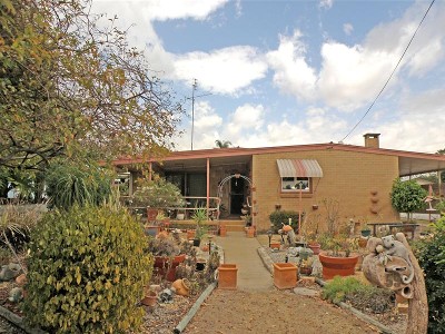 SENTIMENTAL FAVORITE Picture