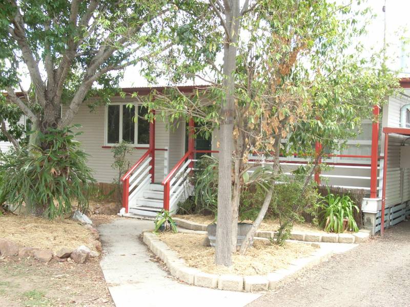 Mango Galore Picture 1