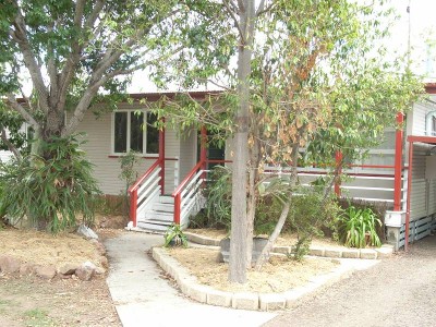 Mango Galore Picture