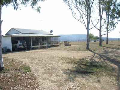 Peace & Quiet Picture Peace & Quiet Picture