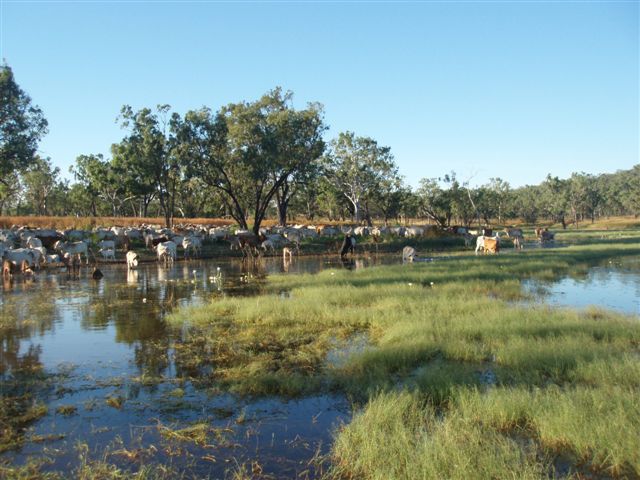Bolwarra - 383,005 Acres Picture 3