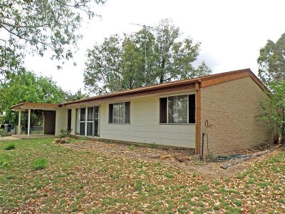 A BLANK CANVAS Picture