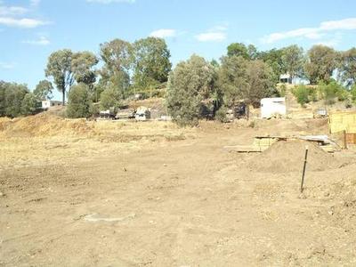 Too Good to Miss Picture Too Good to Miss Picture